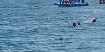 Scène de panique: des requins s'invitent parmi les nageurs sur une plage espagnole