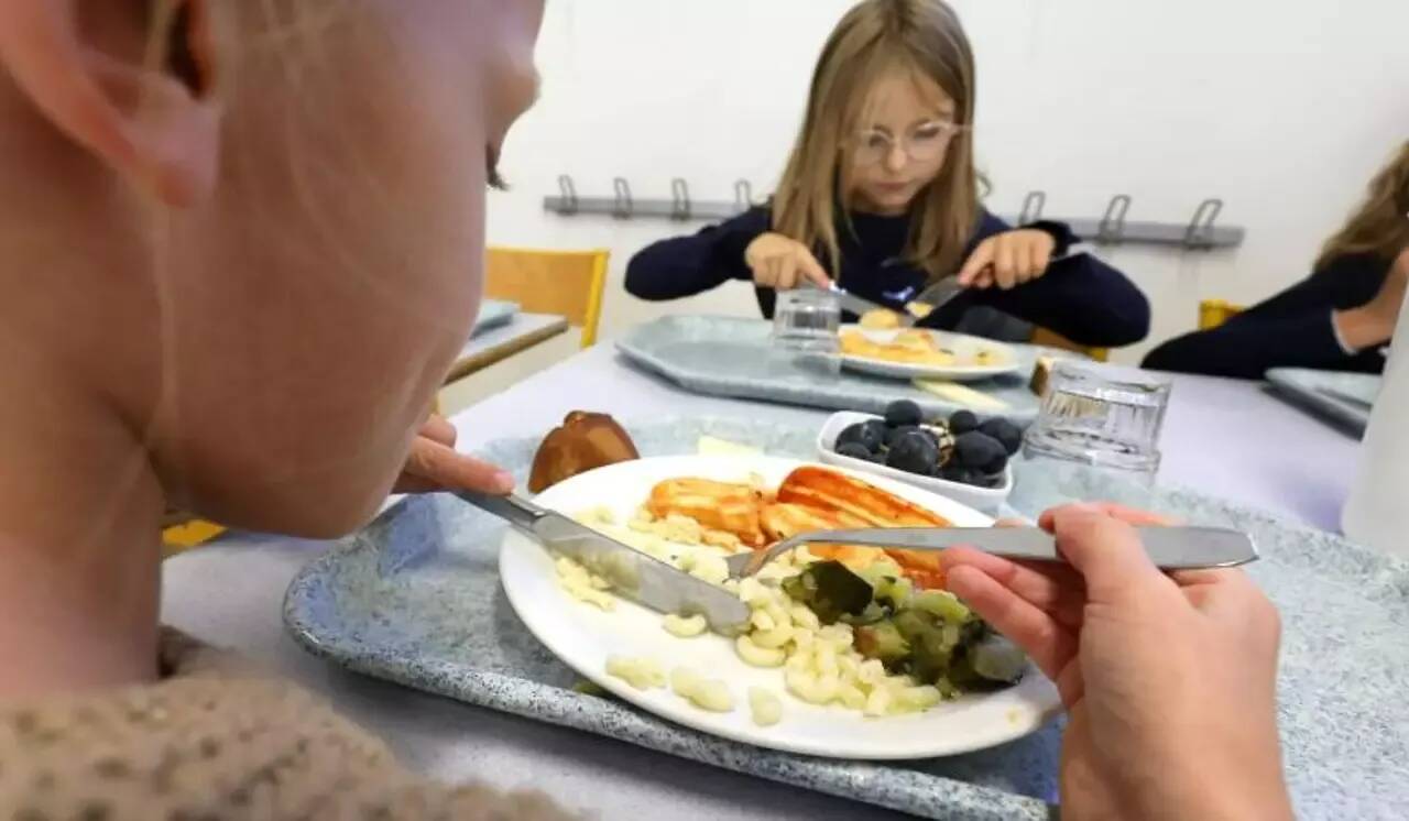 Politiques, scientifiques et ONG autour de la table pour améliorer la restauration scolaire dans le monde