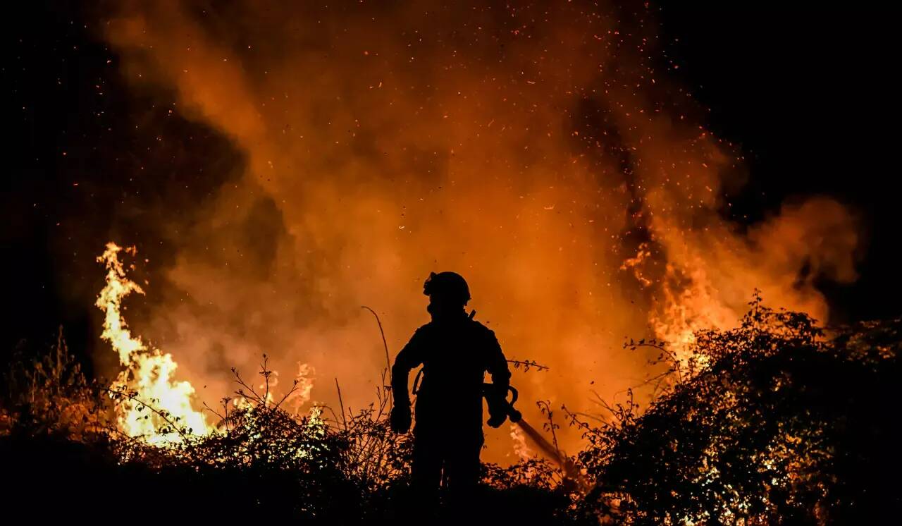 Portugal: plus de 100.000 hectares brûlés par les feux de forêt cette année