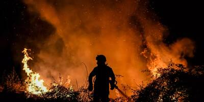 Portugal: plus de 100.000 hectares brûlés par les feux de forêt cette année