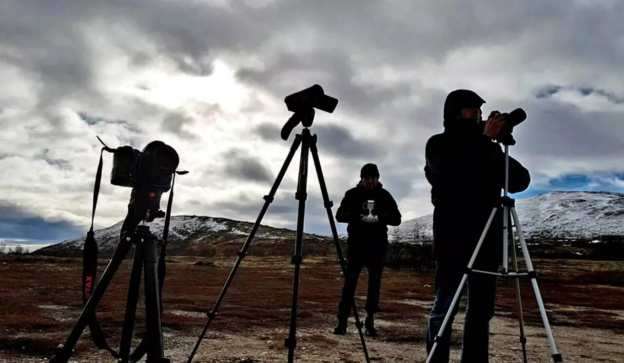 40 ans de phénomènes aérospatiaux non identifiés dans les Alpes-Maritimes: plongée dans les archives des enquêteurs
