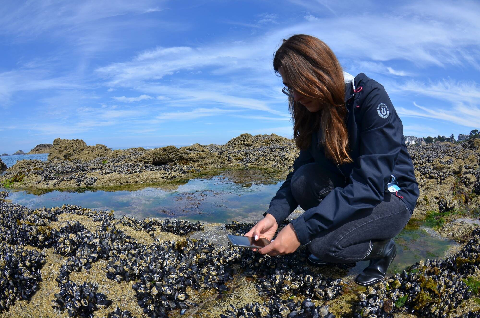 Dans les Alpes-Maritimes et le Var, à vous de jouer pour recenser la faune et la flore côtières!