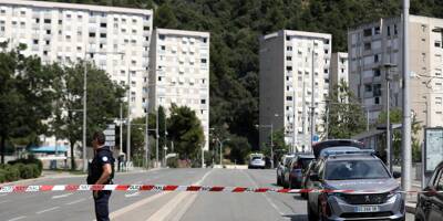 Le Raid en intervention dans les résidences Roquebillière à Nice