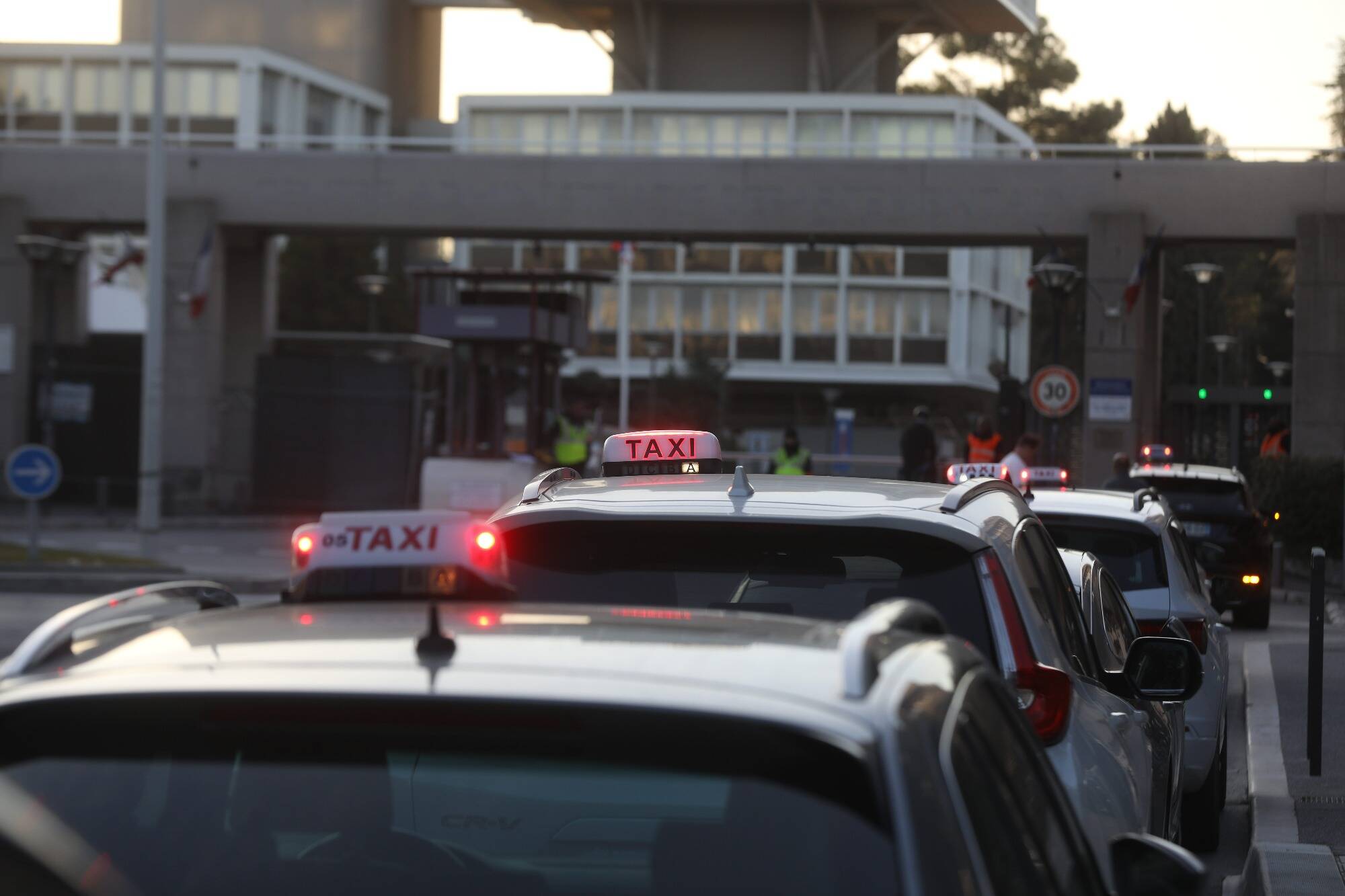 "J'ai fait un selfie avec eux à l'arrivée": une touriste polonaise demande à un chauffeur de taxi de l'emmener à Paris avec son... mouton