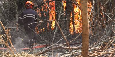 Deux morts, reprise virulente du feu... Suivez en direct l'évolution de l'incendie monstre dans le Var