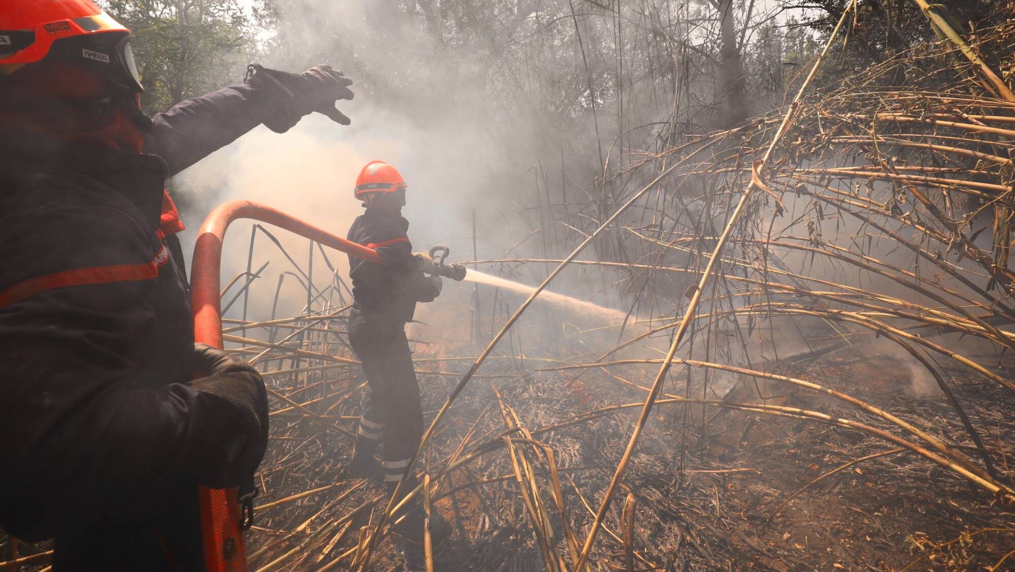 Incendie dans le Var: un homme découvert mort chez lui à ...