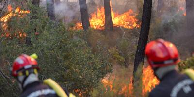 Incendies dans les Maures: comment faire face à la diagonale du feu?
