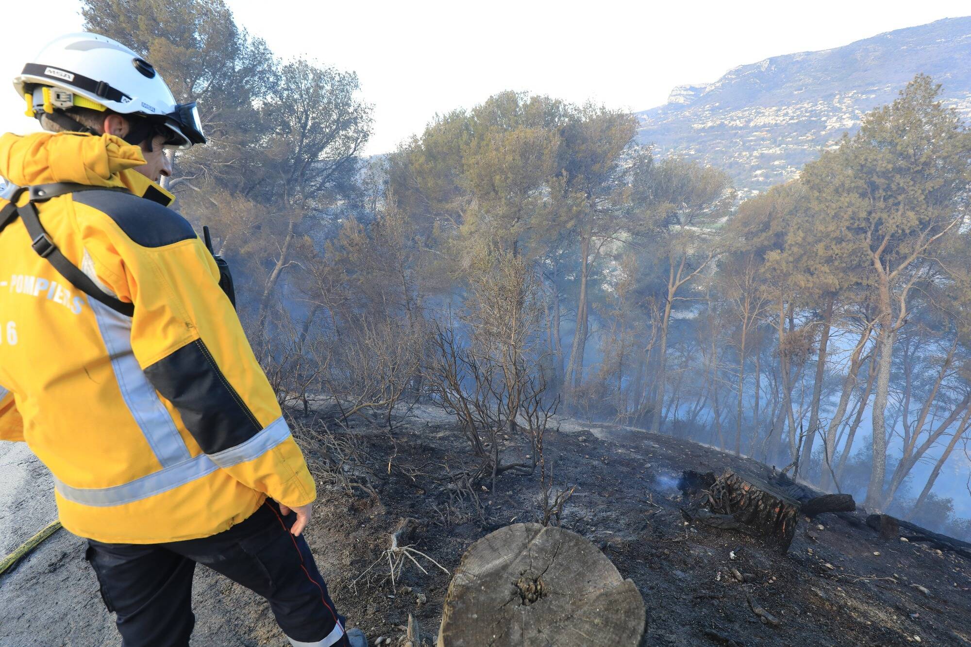 Feu de forêt à Colomars: 54 personnes évacuées, hélicos lancés, une garde à vue... Le point sur la situation ce samedi matin