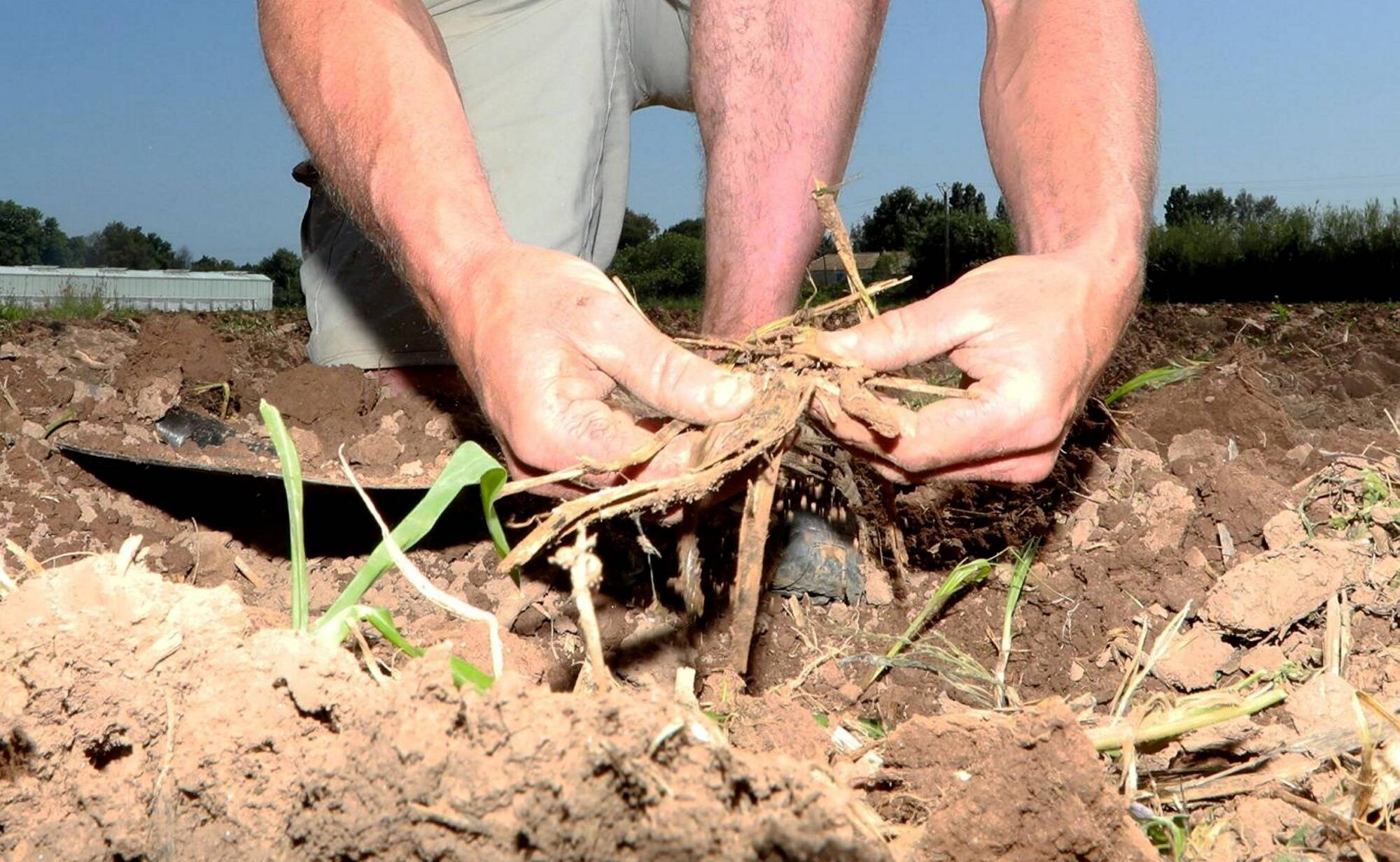 Conflits de voisinage: ce que contient la proposition de loi visant à protéger les agriculteurs