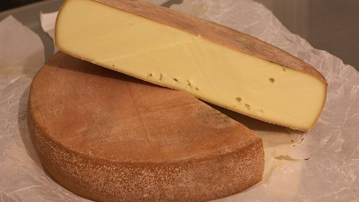 Du fromage à raclette contaminé par la listeria rappelé en France -  Nice-Matin