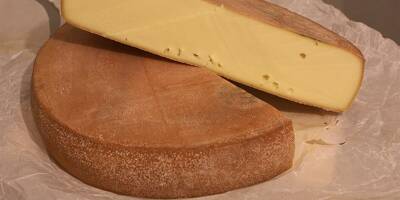 Raclette, morbier, tomme... Quinze fromages contaminés par la bactérie E. coli rappelés en France