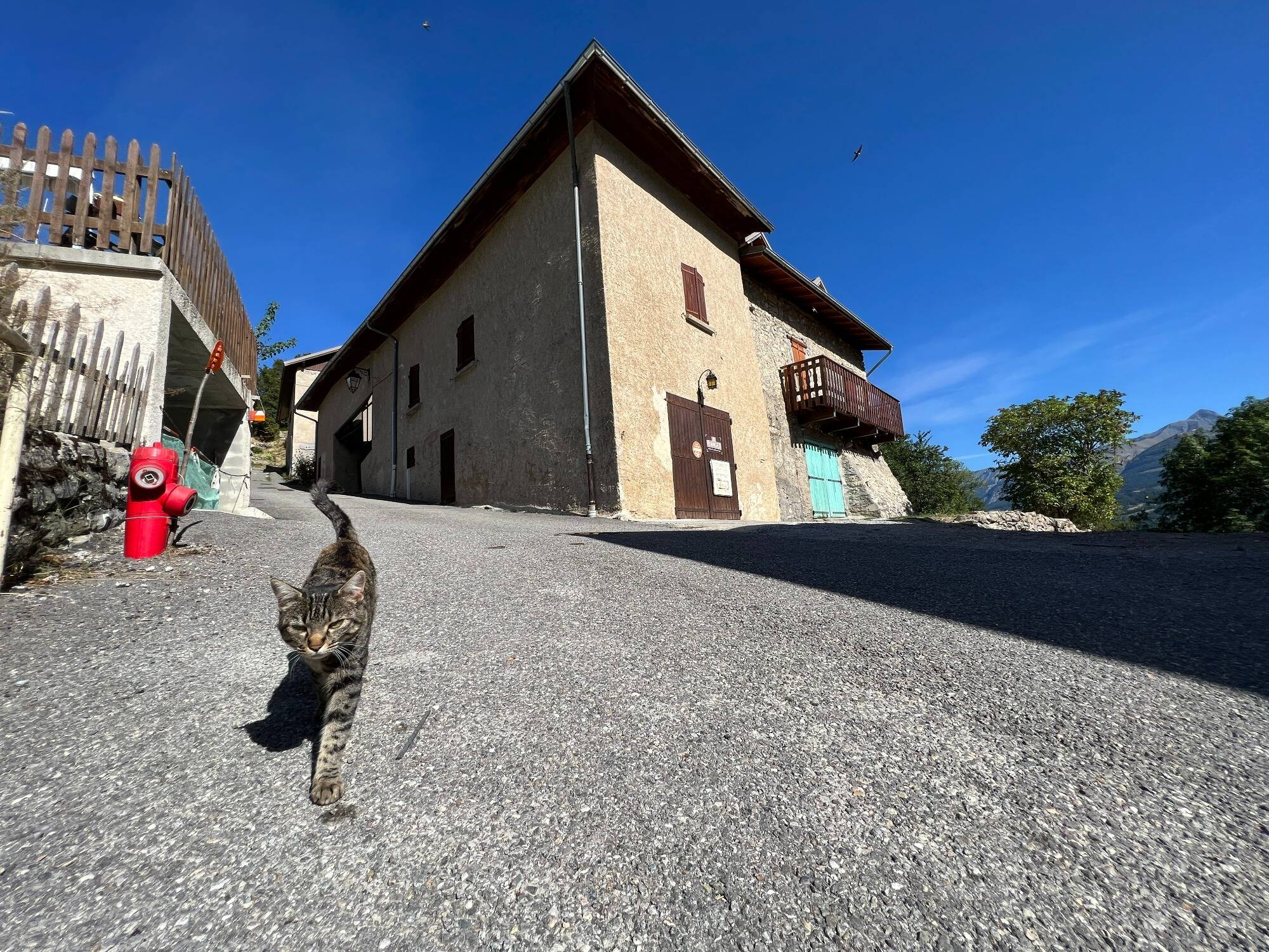 Longues auditions, hypothèses privilégiées, témoignages... On fait le point sur l'enquête, deux mois après la disparition du petit Emile