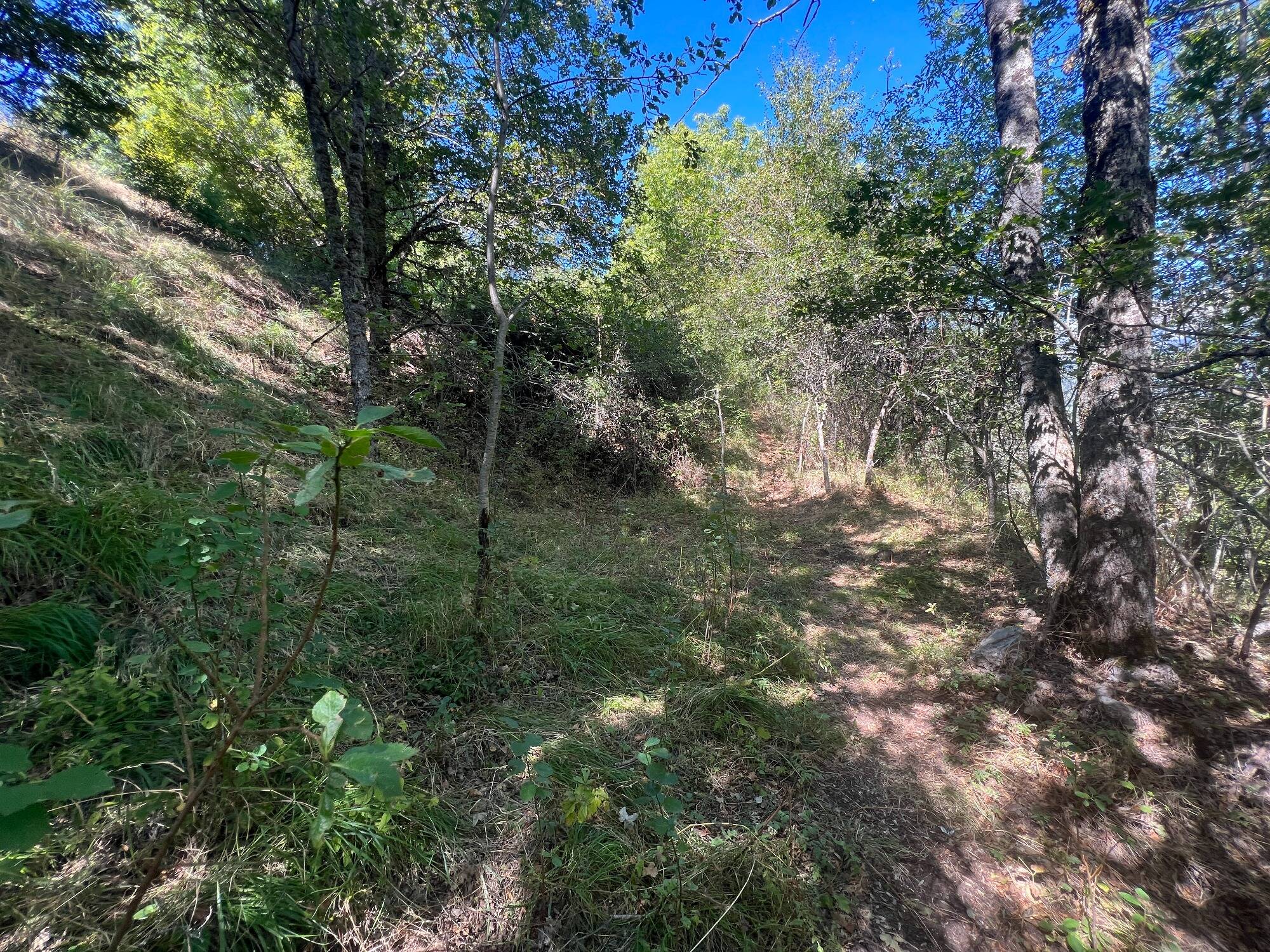 "Au secours!": le mystérieux appel à l'aide d'une personne dans le Haut-Vernet, deux mois avant la disparition du petit Emile