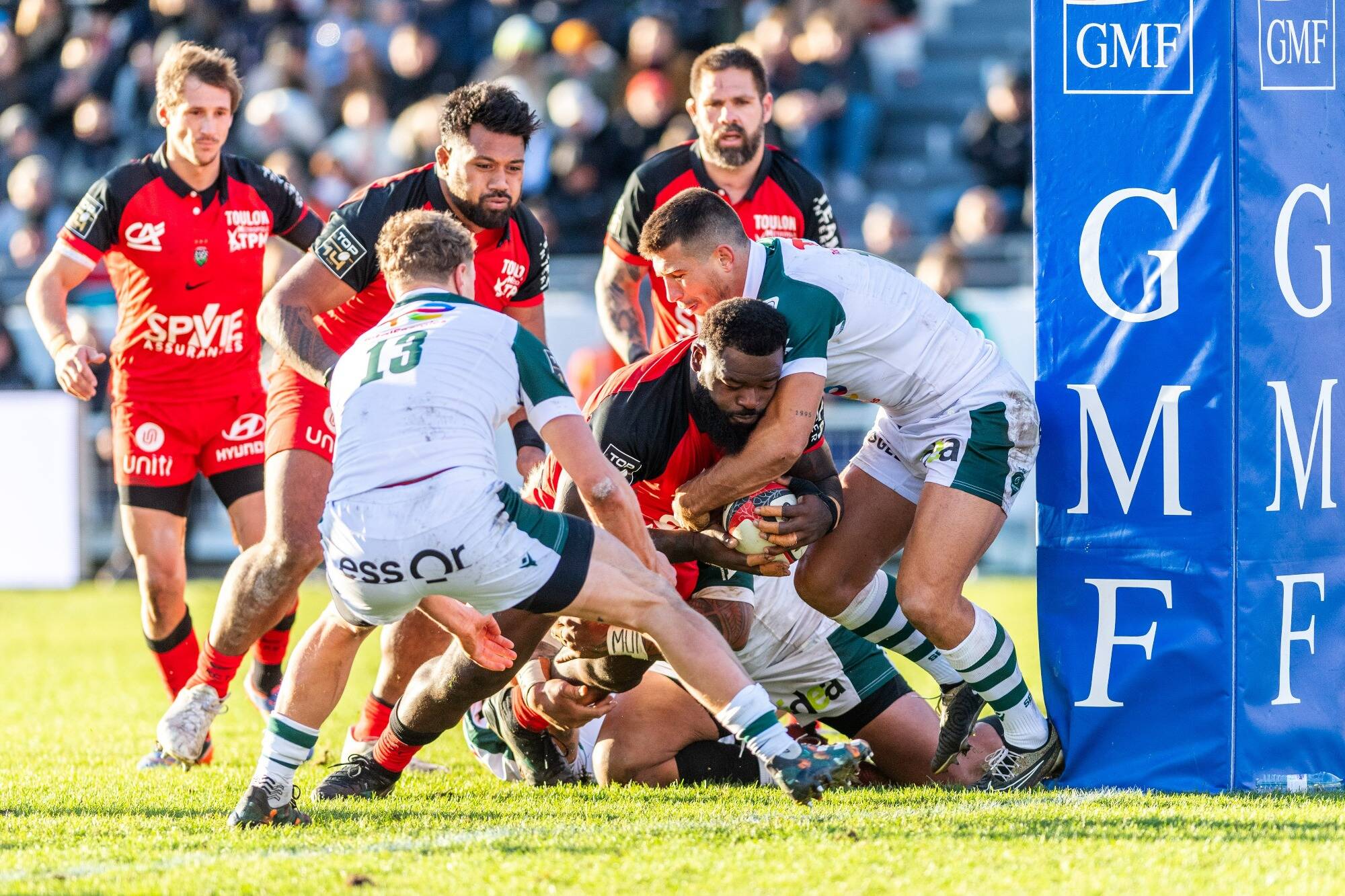 Toulon plein pot face à la section paloise (36-13)