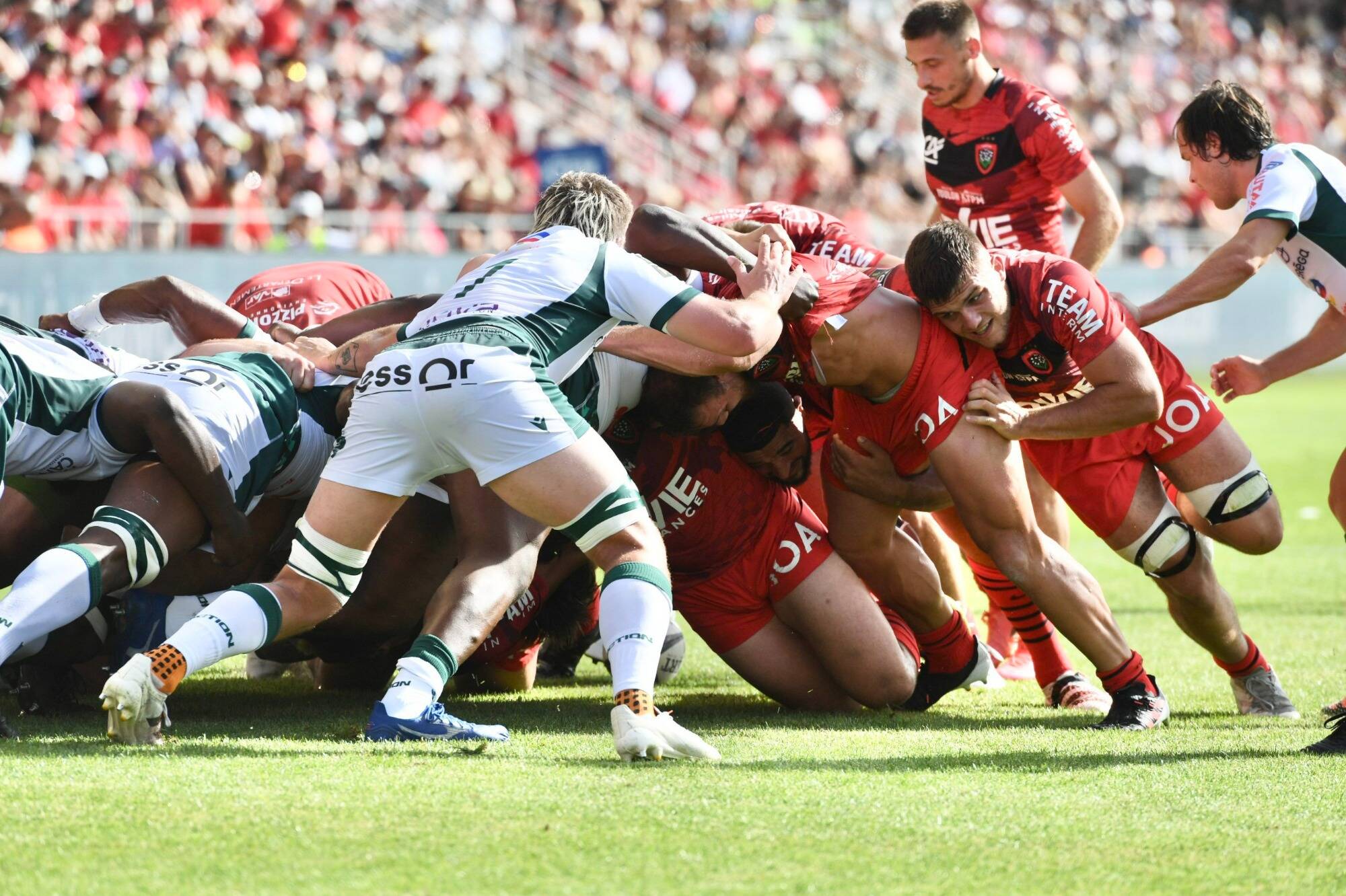 Sur sa lancée, Toulon mène 20-6 contre Pau à la mi-temps