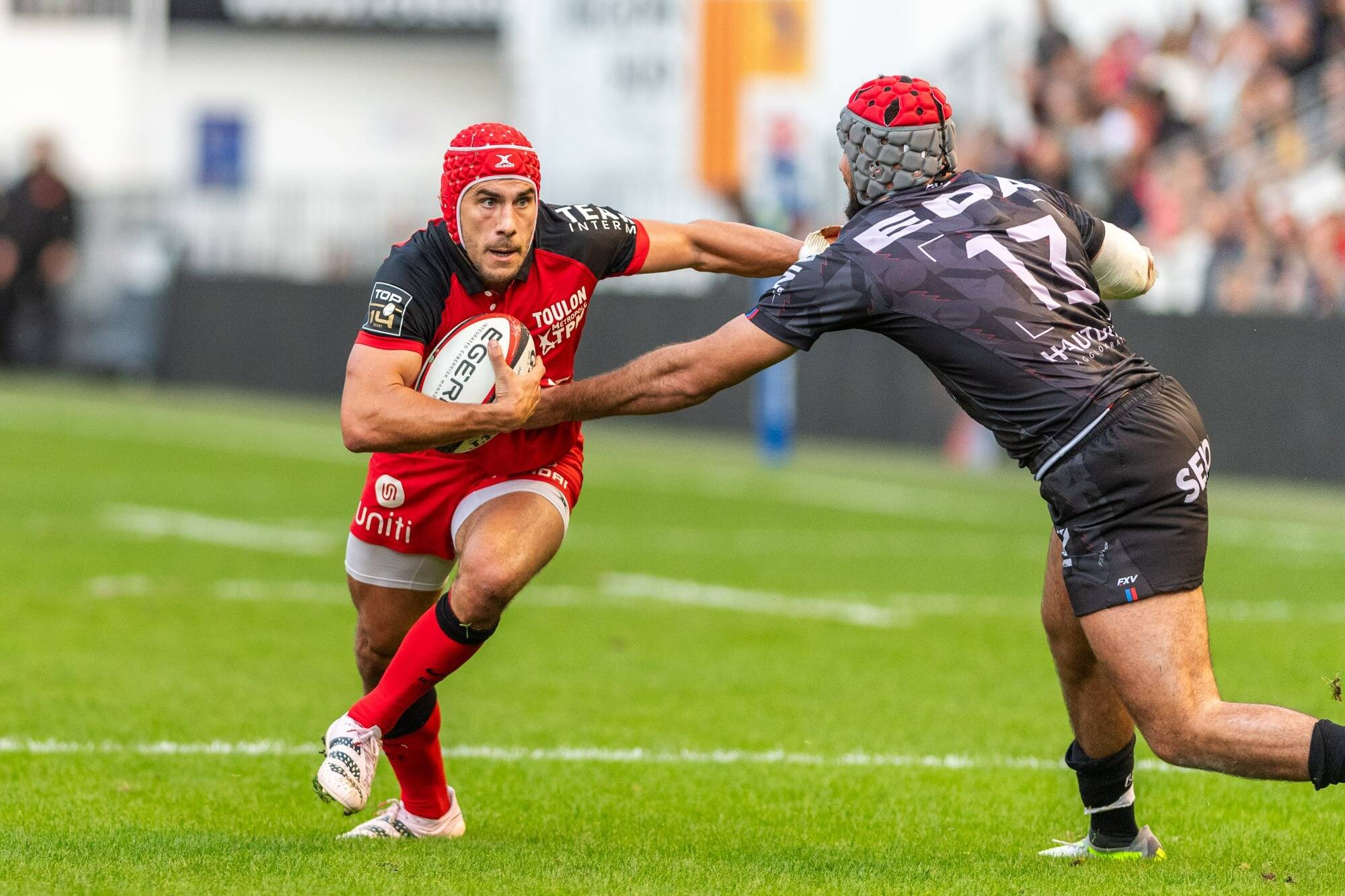 Pour sa reprise en Top 14, Toulon s'impose largement à Mayol face à Oyonnax (41-7)