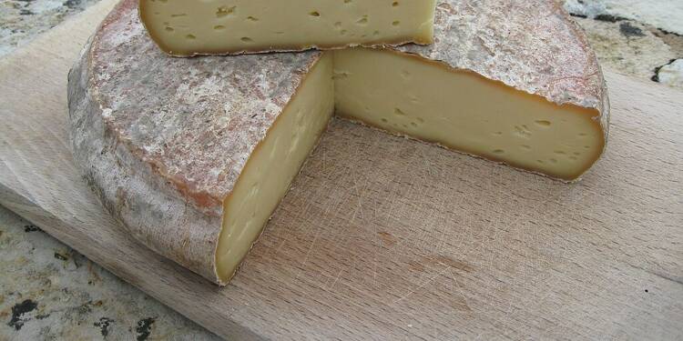 Du fromage Saint-Nectaire AOP contaminé par la listeria rappelé dans plusieurs magasins en France