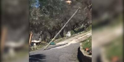 Tempête Larisa: la vidéo impressionnante d'une rafale de vent à Grasse