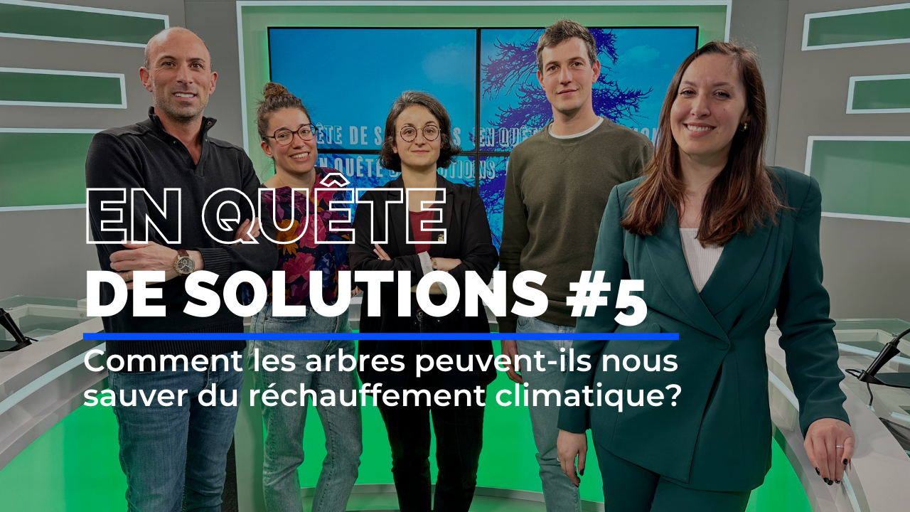 Comment les arbres peuvent-ils nous sauver du réchauffement climatique? C'est le thème de notre émission En quête de Solutions
