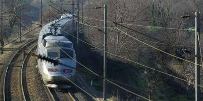 Une grève SNCF pourrait perturber le trafic des trains sur la Côte d'Azur, ce mercredi 8 novembre