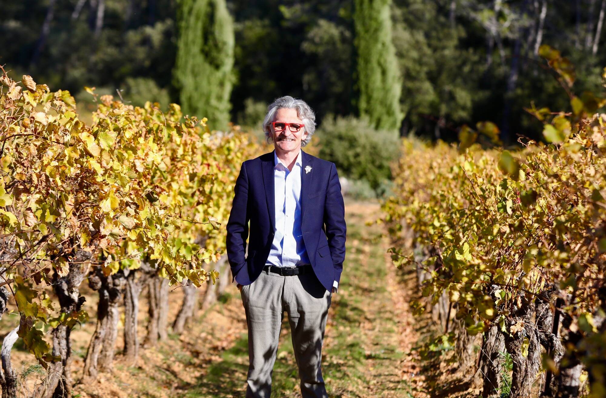 A Entrecasteaux, le Clos de Caille s'offre un chai signé de l'architecte Rudy Ricciotti