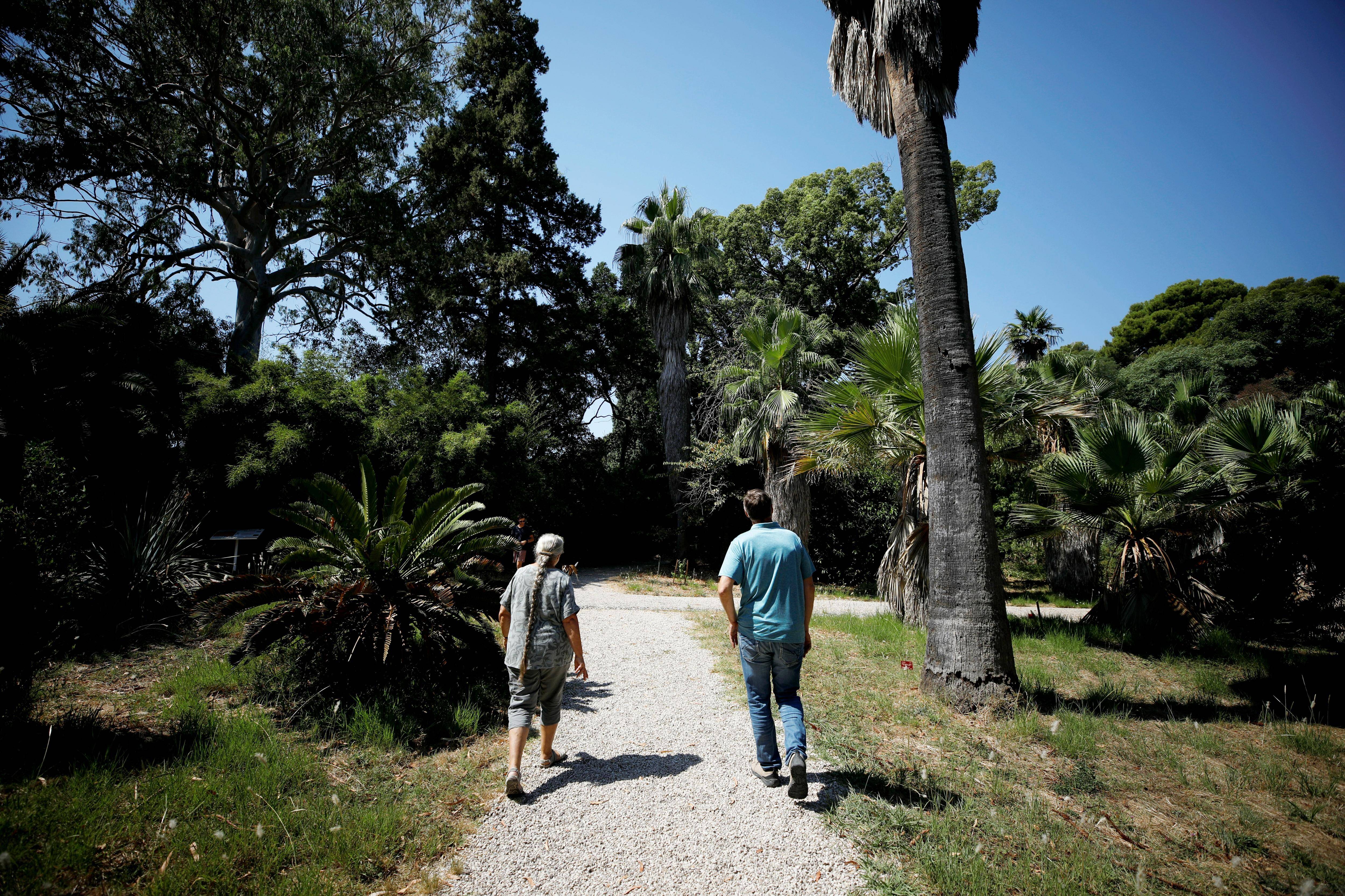 Des chercheurs de l'Inrae à l'oeuvre à la Villa Thuret pour verdir les espaces urbains à Antibes