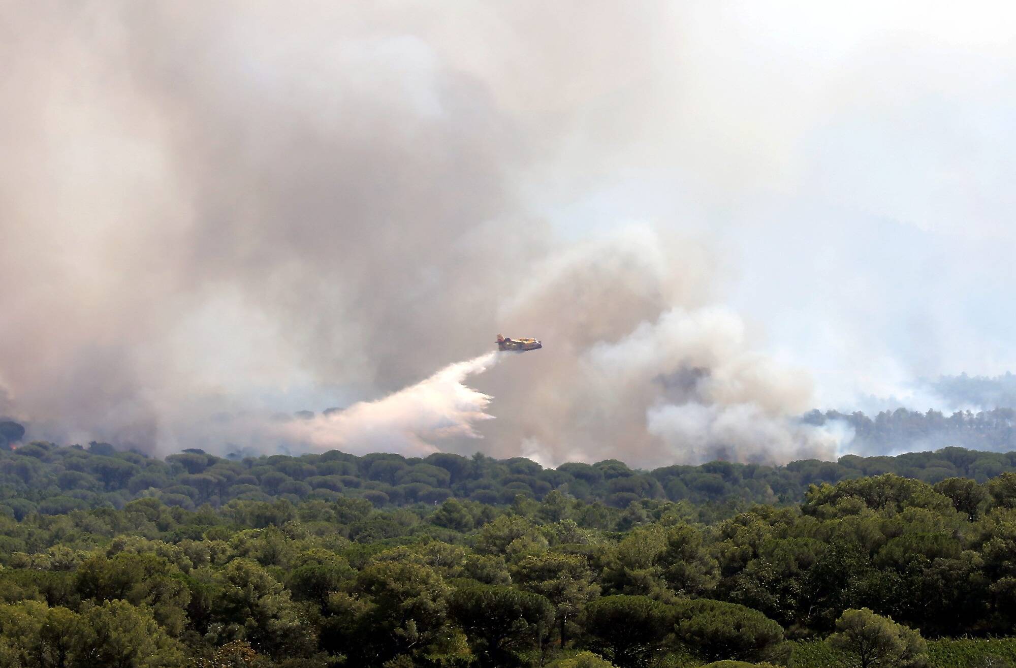 Risque sévère d'incendie, l'accès à cinq massifs forestiers du Var déconseillé ce lundi