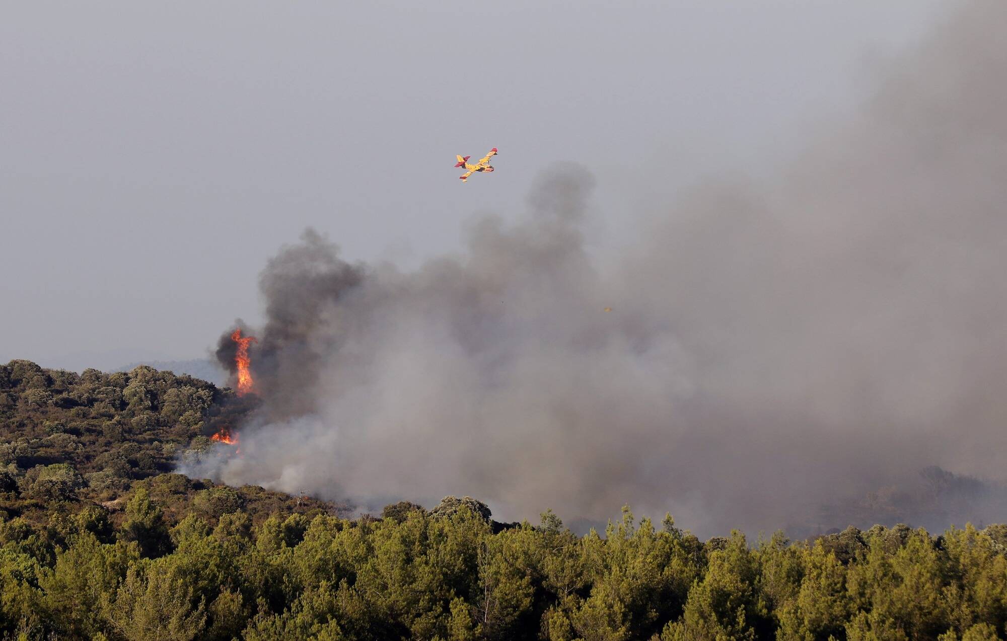 Incendie dans le Var: reprise virulente du feu entre La Garde-Freinet et Le Plan-de-la-Tour