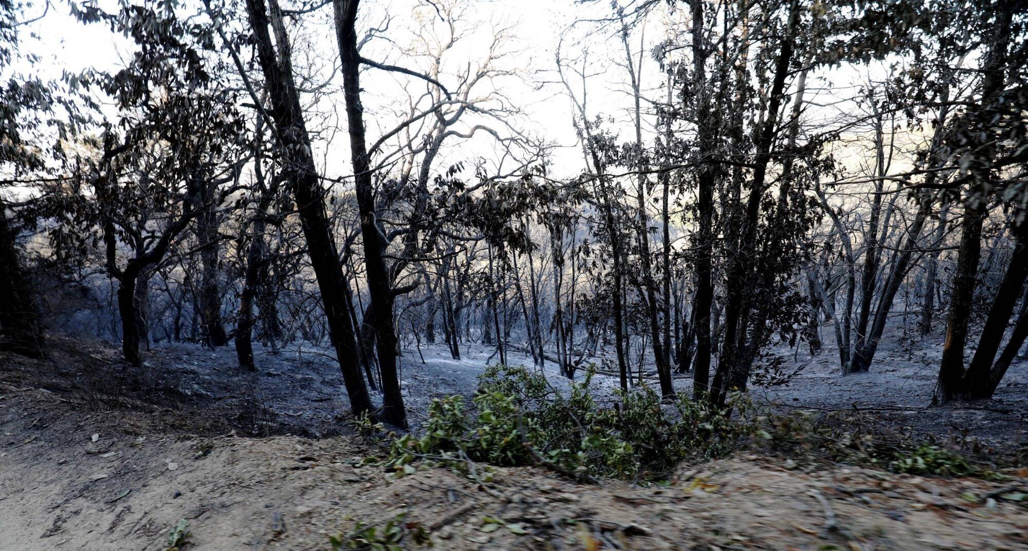 On fait le point ce jeudi soir sur le terrible incendie qui brûle le Var