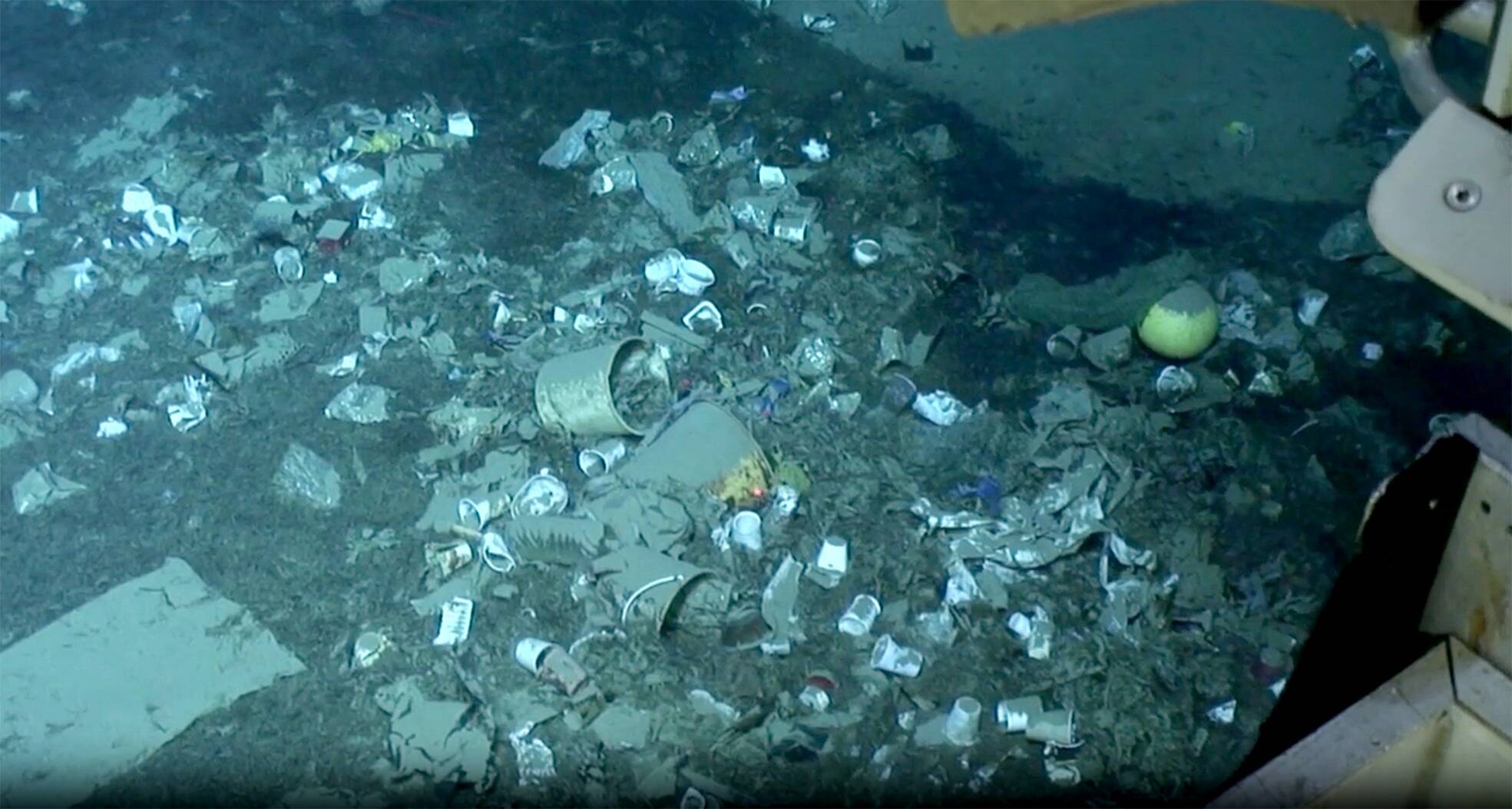 Pollution plastique en Méditerranée, à quand l'arrêt des déchets sur les fonds?