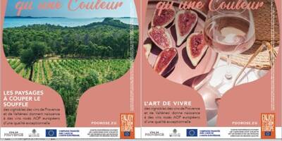 Pourquoi le Conseil interprofessionnel des vins de Provence se lance dans une campagne de promotion de ses rosés AOP