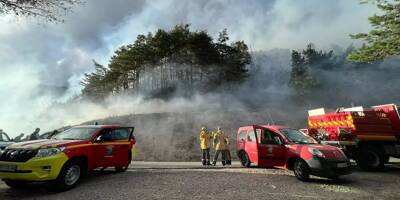 60 hectares brûlés, 9 feux en quelques jours dans les Alpes-Maritimes... assiste-t-on au pire début d'année sur le front des incendies?