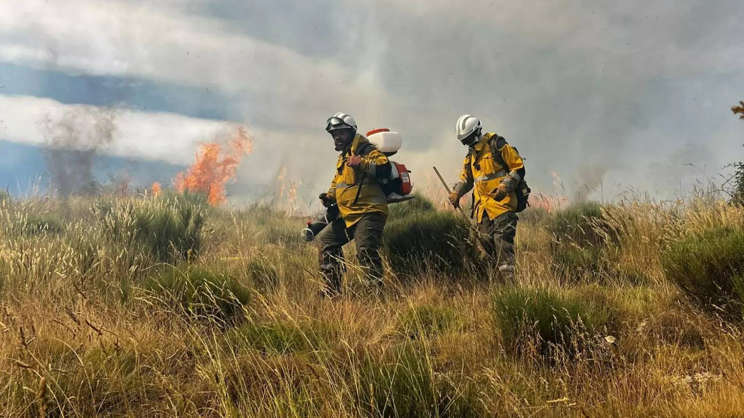 On fait le point sur les cinq incendies qui se sont déclarés dans les Alpes-Maritimes