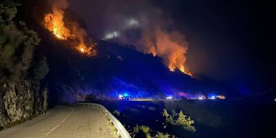 8 hectares parcourus, une quinzaine d'habitants évacués: retour sur le feu qui a parcouru 8 hectares dans l'arrière-pays niçois