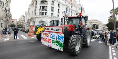 Moutons, Formule 1, tracteurs... Les événements et manifestations les plus insolites qui ont eu lieu sur la Promenade des Anglais à Nice