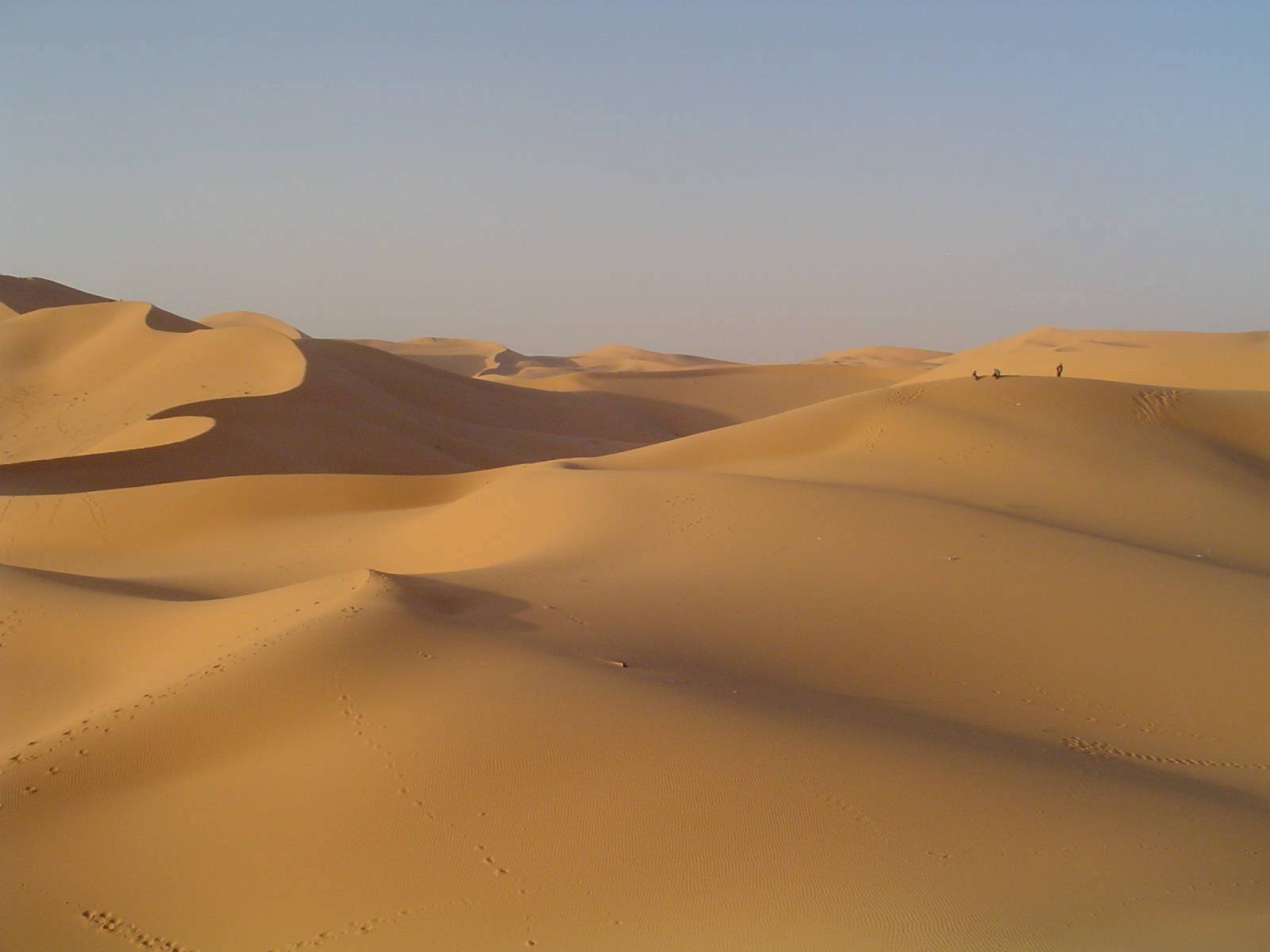 Une météorite aussi ancienne que le système solaire découverte dans le Sahara