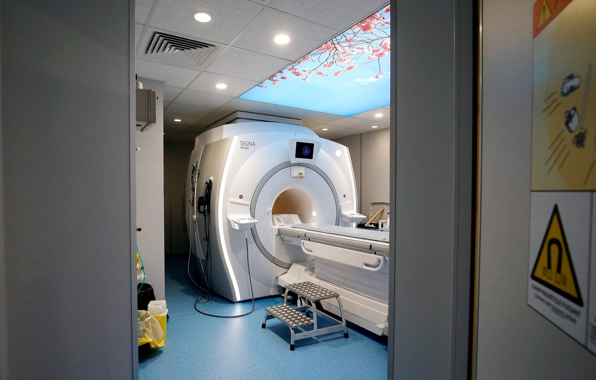 Des recherches sur des porcs soupçonnées d'avoir été prioritaires sur des patients atteints de cancer à Strasbourg