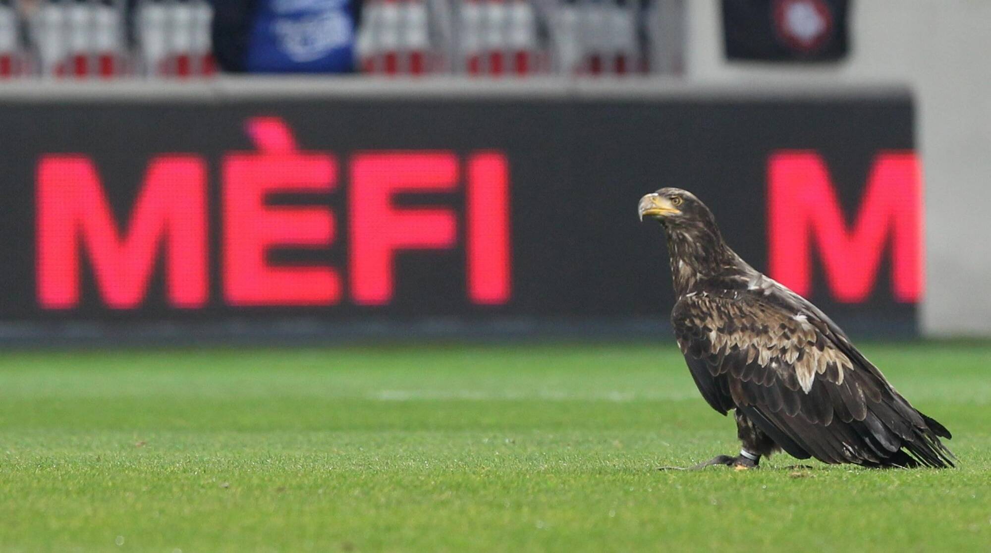 Fortement critiquée pour ses prix, DAZN va lancer une promotion sur l'abonnement Ligue 1