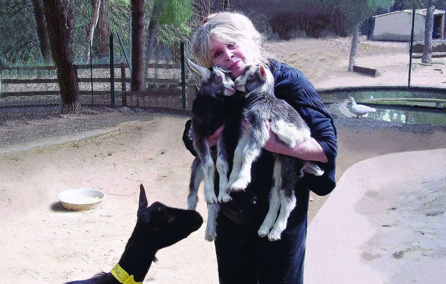 "C'est invraisemblable, affolant": Brigitte Bardot interpelle le ministre de l'Agriculture après la diffusion de la vidéo choc de L214