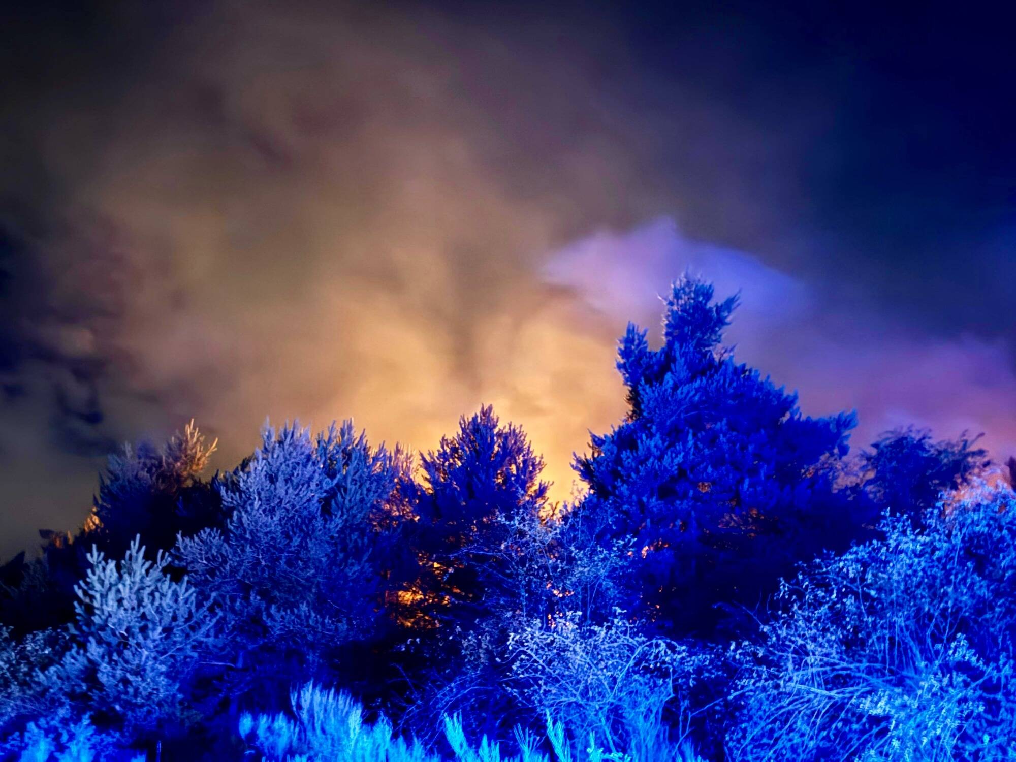 Un feu de forêt se déclare dans l'arrière-pays de Grasse, plus de 50 pompiers engagés