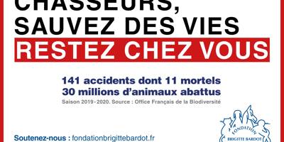 La Fondation Brigitte Bardot lance une opération choc contre les chasseurs
