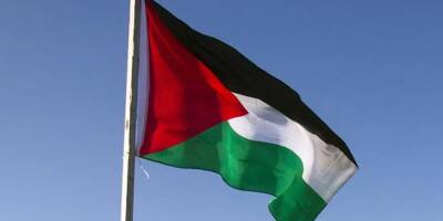 L'Irlande s'apprête à reconnaître un État palestinien, selon son chef de la diplomatie
