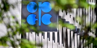 Face à la chute des prix du pétrole, l'Opep+ débat de nouvelles coupes