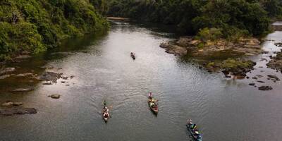 Brésil: un barrage menace la biodiversité en Amazonie