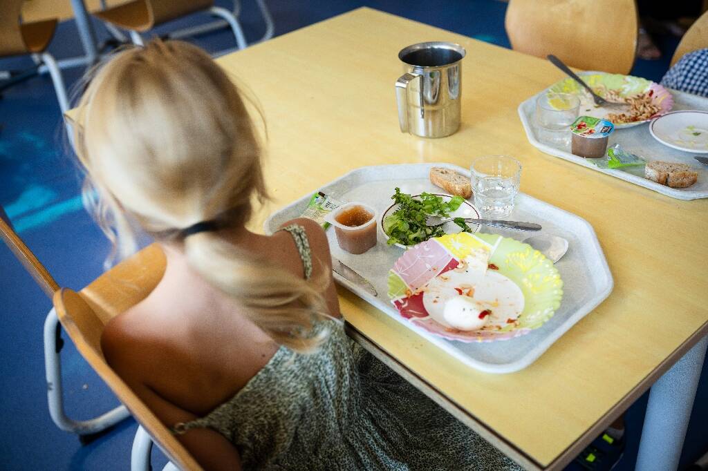 Huit mairies, dont une des Alpes-Maritimes, suppriment temporairement le thon des menus de leurs cantines scolaires, pour "faire cesser l'exposition des enfants au mercure"