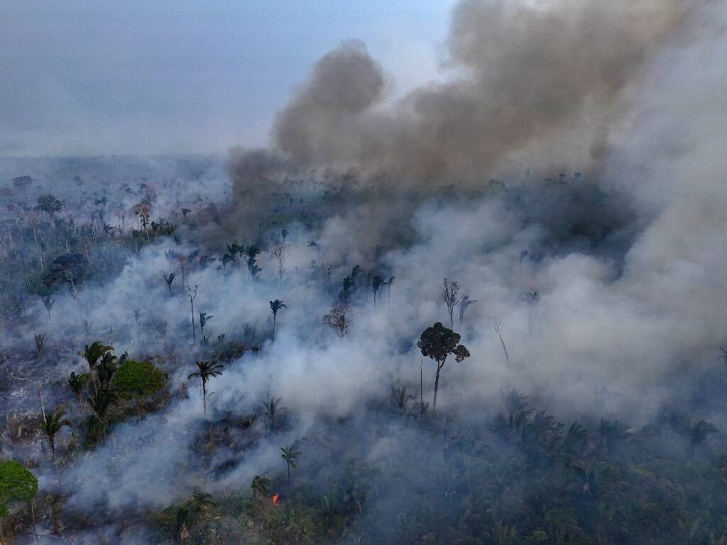 La superficie végétale brûlée par les incendies au Brésil a bondi de 79% en 2024