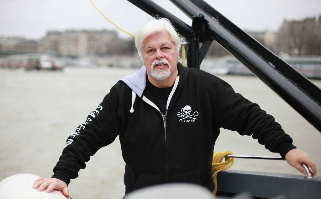 Le militant écologiste Paul Watson, arrêté alors qu'il tentait d'intercepter un navire-usine baleinier nippon, demande la nationalité française