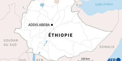 Ethiopie: les rebelles du Tigré disent avoir perdu la ville-clé de Shire