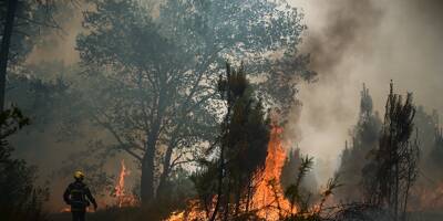 La canicule se décale à l'est de la France, 17.000 hectares brûlés en Gironde