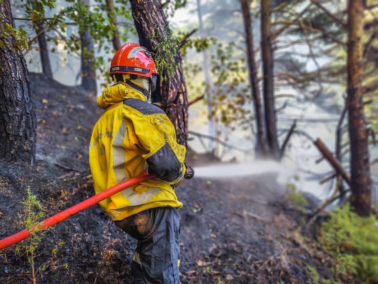 Enfin une nouvelle piste forestière au col de Tende pour mieux combattre les incendies?